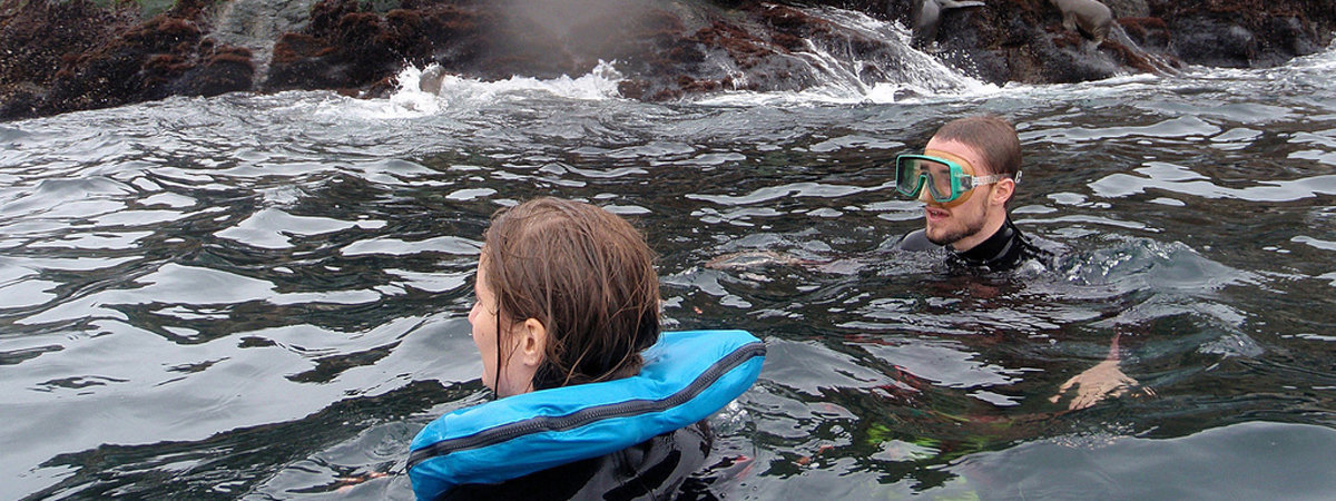 Palomino Islands - Swimming with sea lions from Lima in Lima